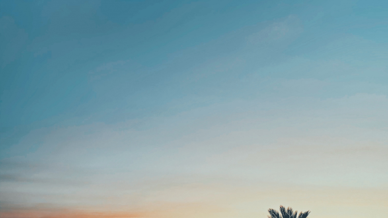 Leaf, Horizon, Orange, Dusk, Amber. Wallpaper in 1280x720 Resolution