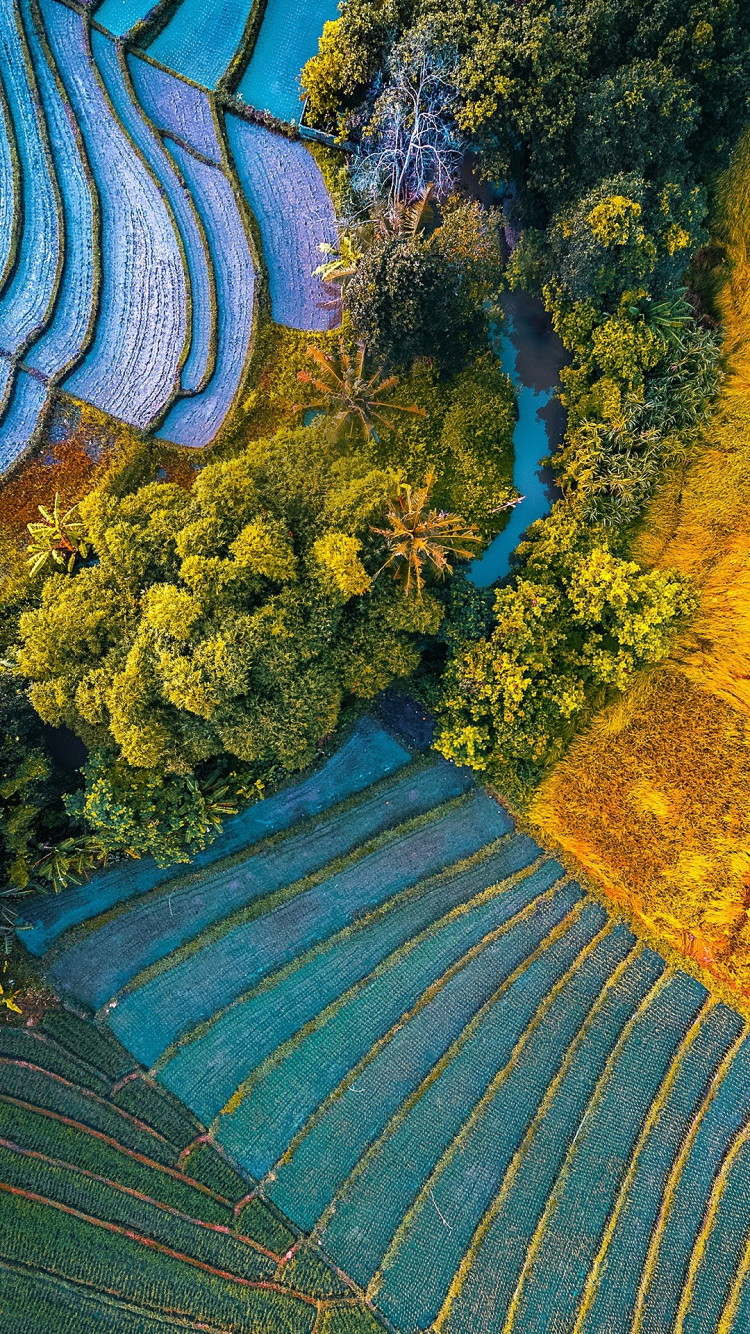 Asus, Asus ZenFone, Asus ZenFone 6, Rog Phone Ii, Asus Zenfone Max Pro. Wallpaper in 750x1334 Resolution