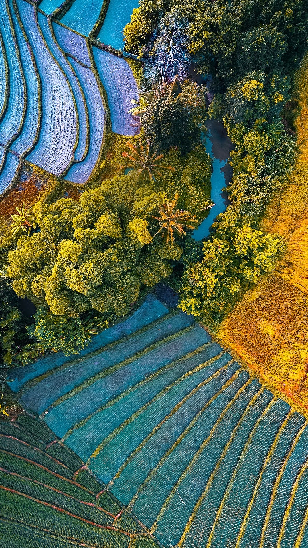 Asus, Asus ZenFone, Asus ZenFone 6, Rog-Telefon Ii, Asus Zenfone Max Pro. Wallpaper in 1080x1920 Resolution