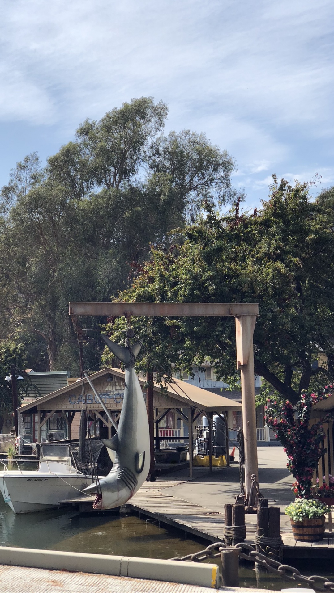 Agua, Ciencia, Biología, Maceta, Moto de Agua. Wallpaper in 1080x1920 Resolution