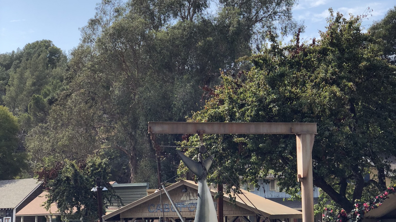 Eau, Sciences, Biologie, Flowerpot, Motomarine. Wallpaper in 1366x768 Resolution