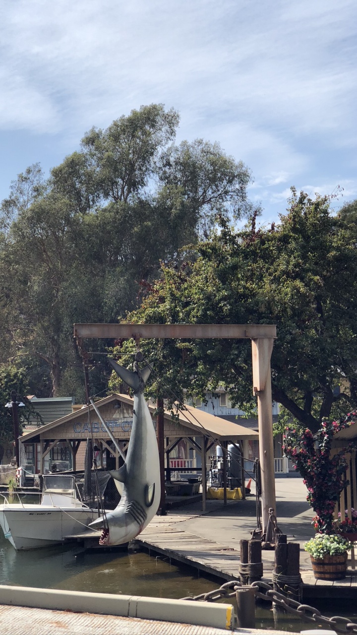 科学, 生物学, 花盆, 船只, 雕塑 壁纸 720x1280 允许