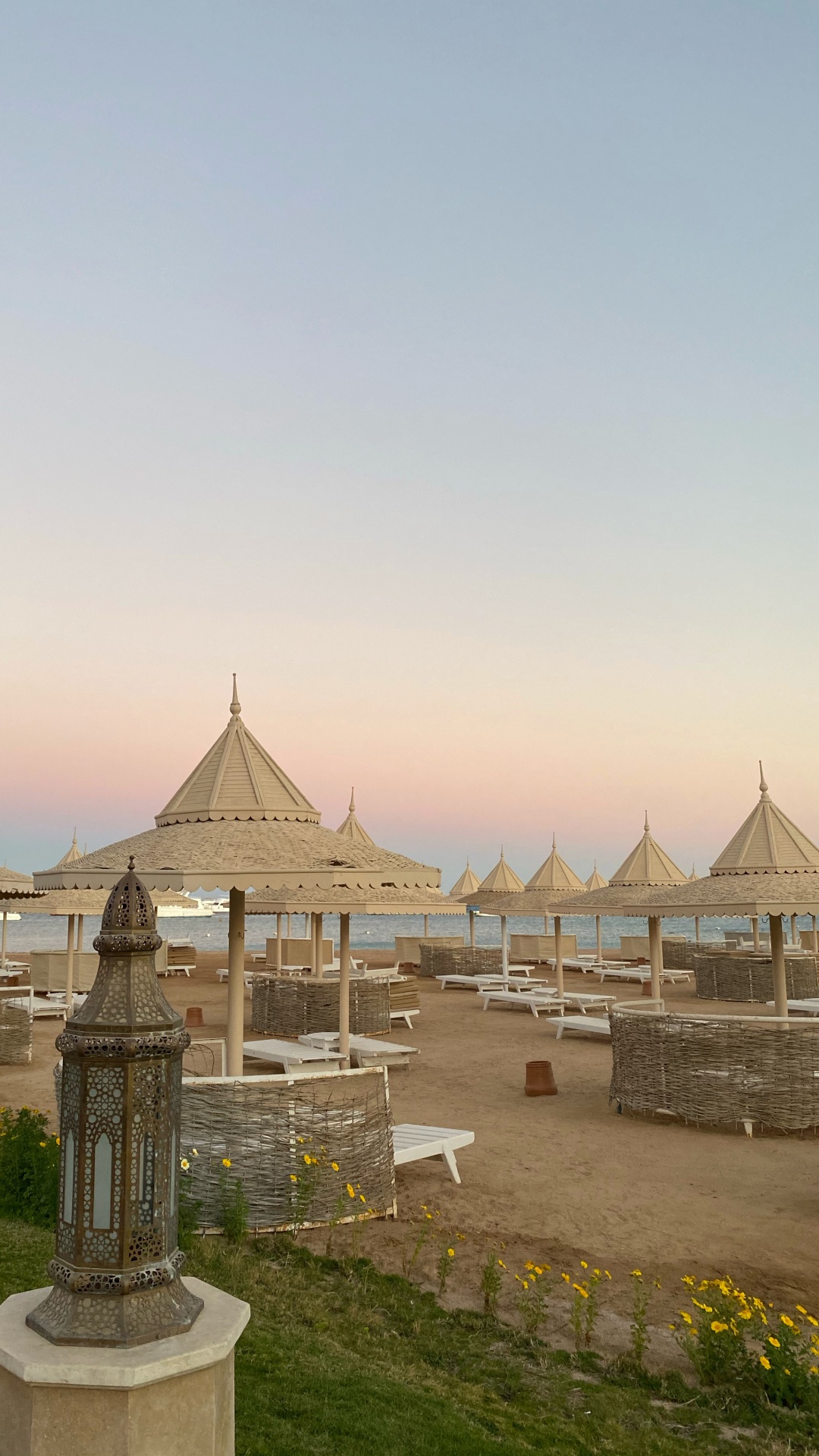 Plant, Shade, Building, Landscape, Rural Area. Wallpaper in 1080x1920 Resolution