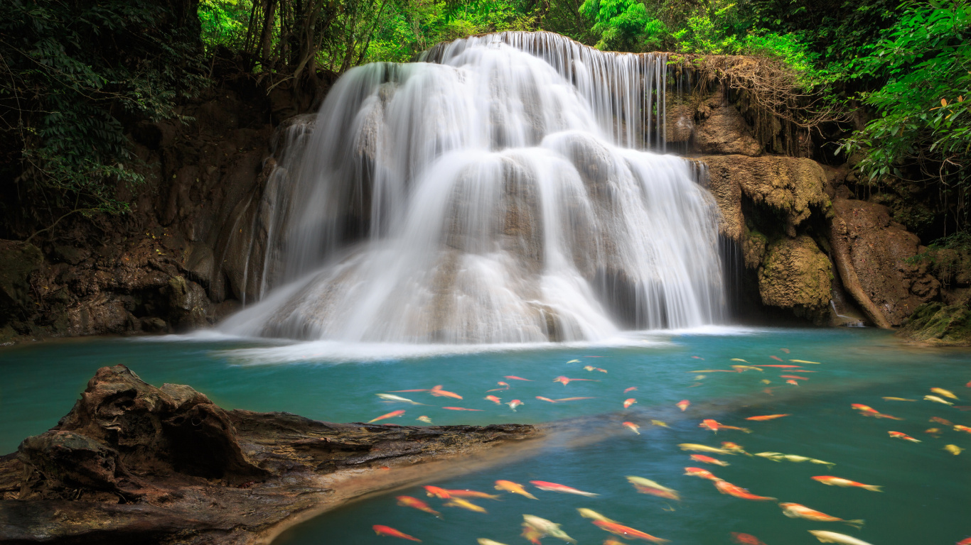 el Agua Cae en Medio Del Bosque. Wallpaper in 1366x768 Resolution