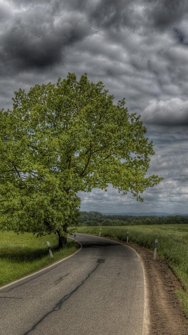Grüne Wiese in Der Nähe Der Straße Unter Grauen Wolken. Wallpaper in 750x1334 Resolution