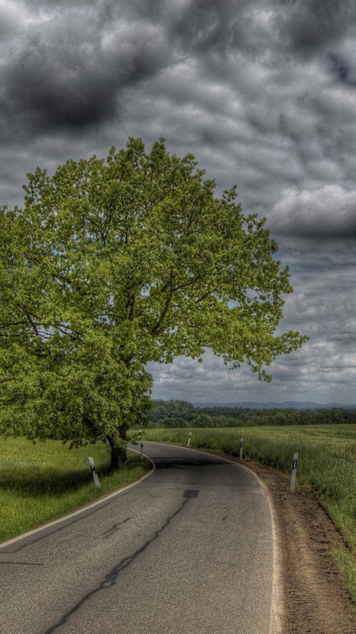 Campo de Hierba Verde Cerca de la Carretera Bajo Nubes Grises. Wallpaper in 720x1280 Resolution