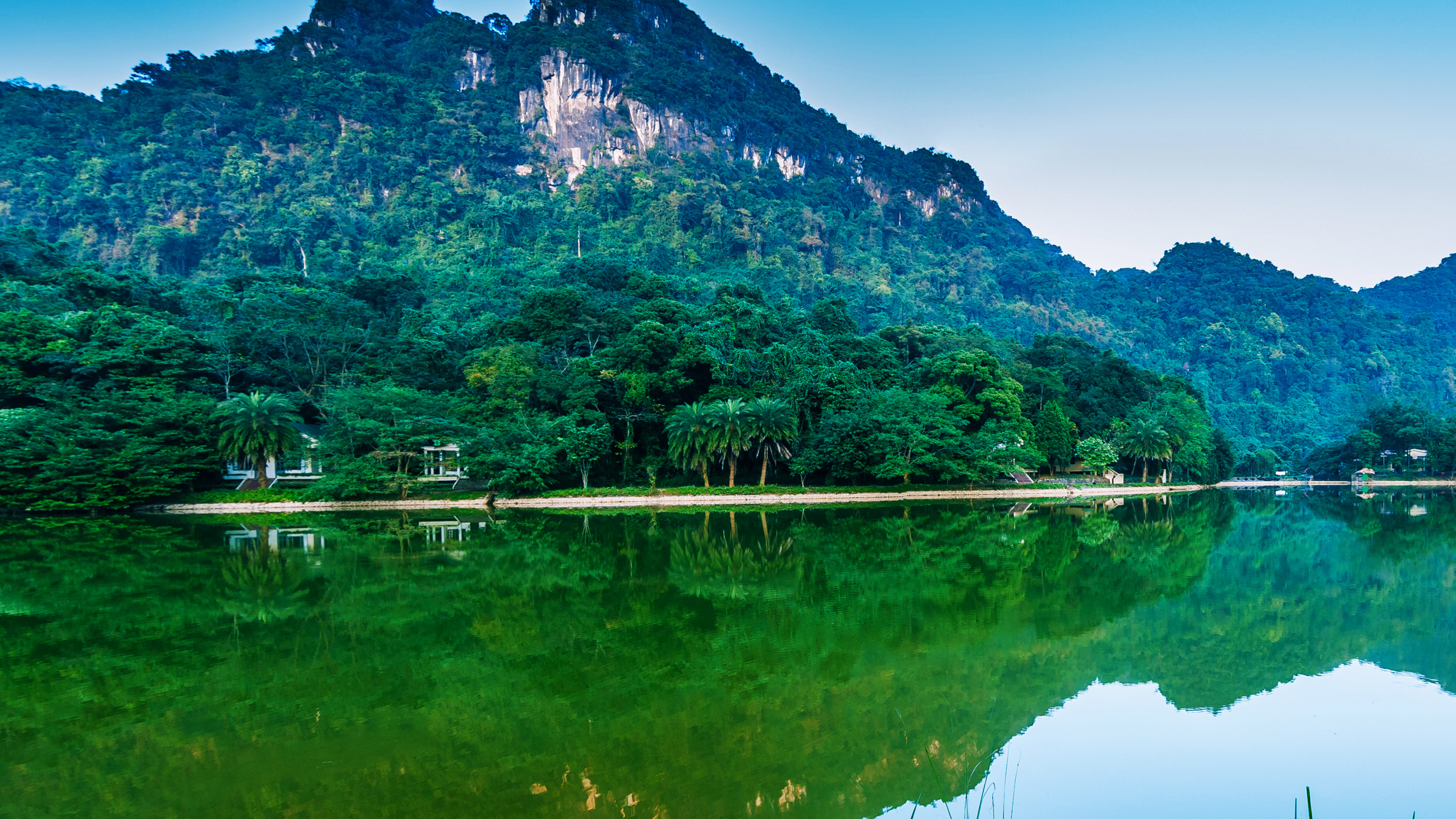 Green Trees Near Lake During Daytime. Wallpaper in 2560x1440 Resolution