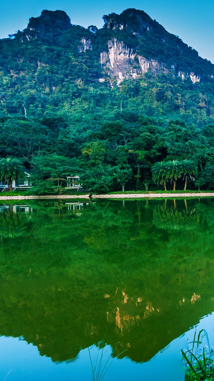 Green Trees Near Lake During Daytime. Wallpaper in 720x1280 Resolution