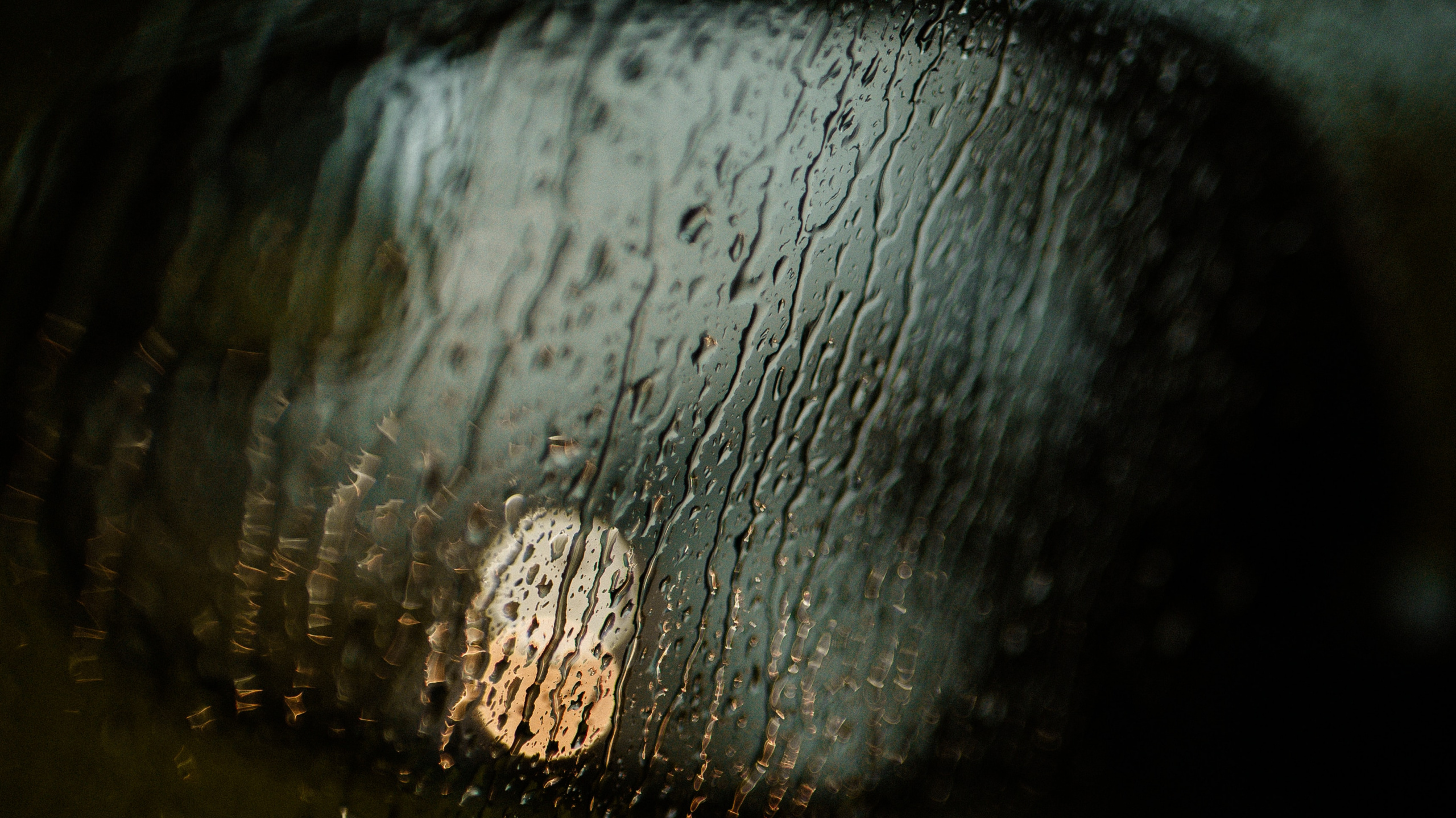 Surface en Bois Noir et Marron. Wallpaper in 2560x1440 Resolution