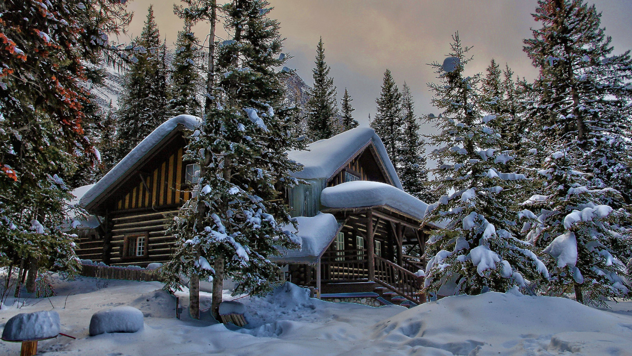 Maison en Bois Marron Recouverte de Neige Près Des Pins Verts Pendant la Journée. Wallpaper in 1280x720 Resolution