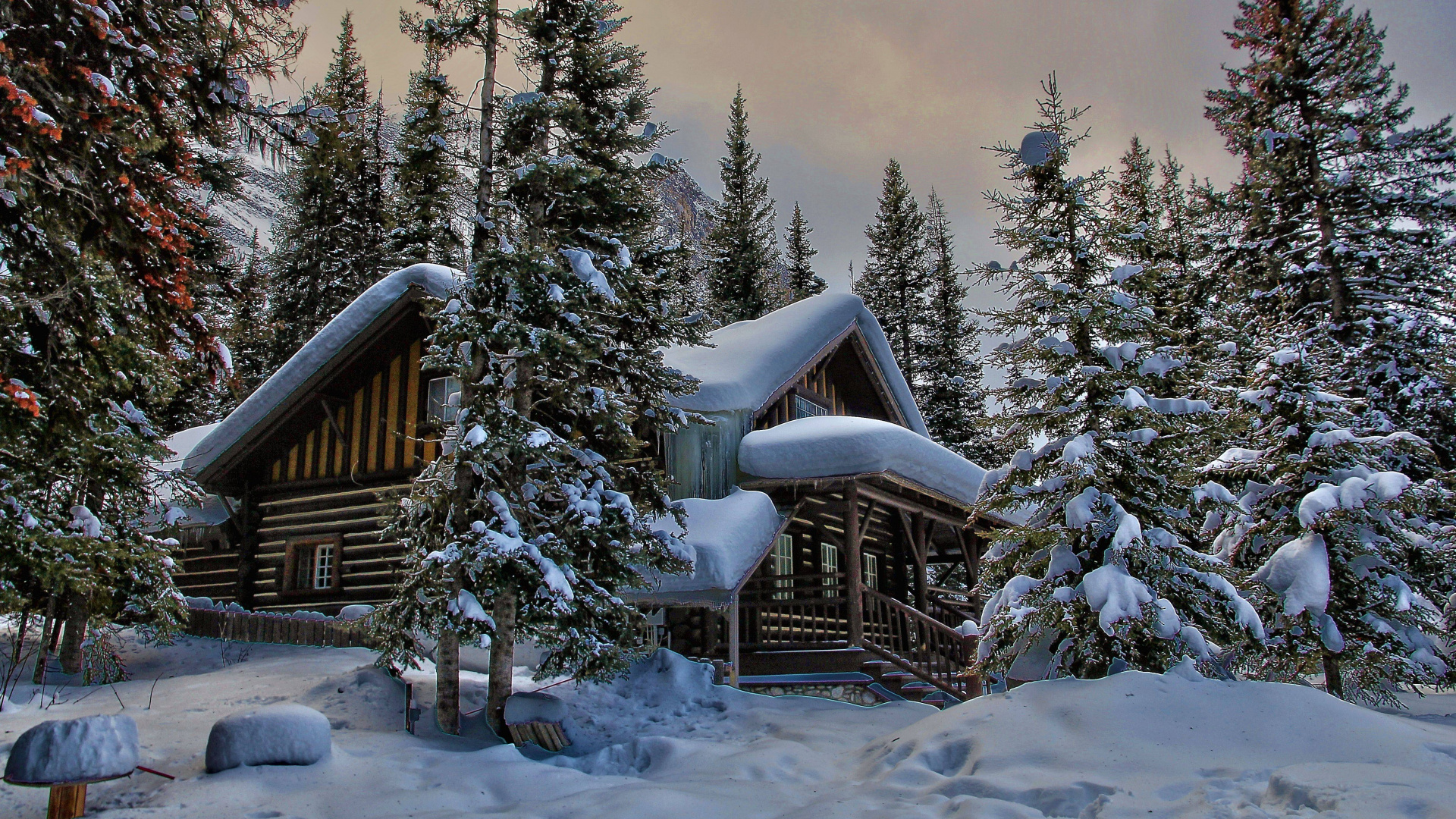 Maison en Bois Marron Recouverte de Neige Près Des Pins Verts Pendant la Journée. Wallpaper in 1920x1080 Resolution