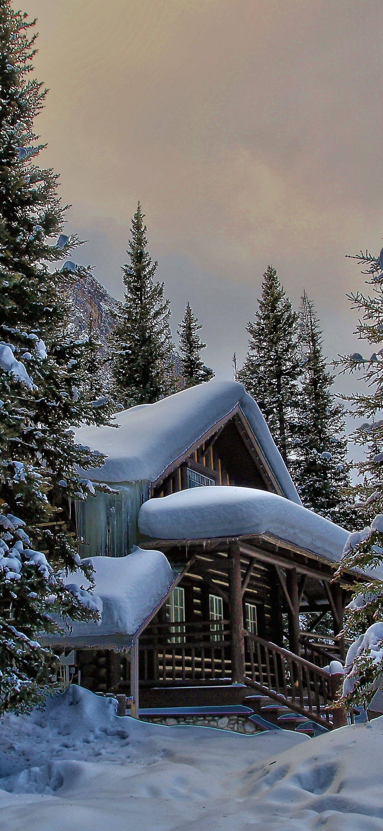 Casa de Madera Marrón Cubierta de Nieve Cerca de Pinos Verdes Durante el Día. Wallpaper in 1242x2688 Resolution