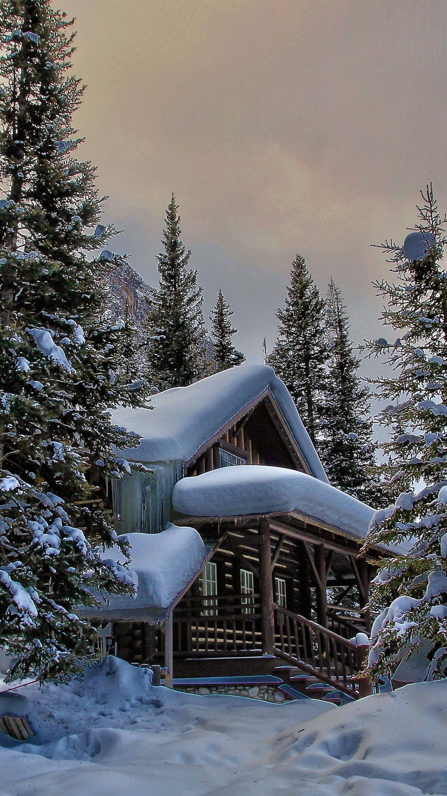 Casa de Madera Marrón Cubierta de Nieve Cerca de Pinos Verdes Durante el Día. Wallpaper in 1440x2560 Resolution