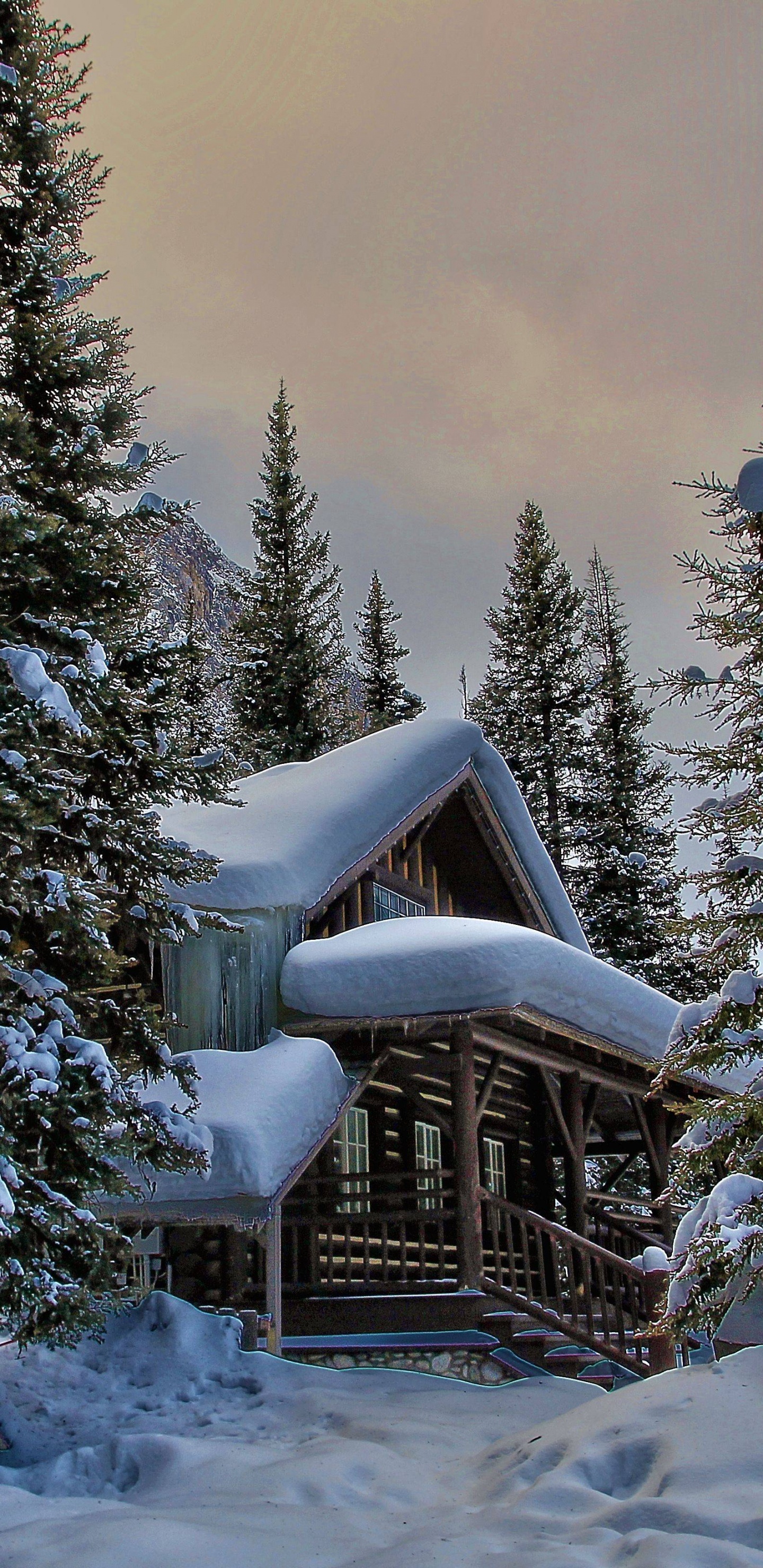 Casa de Madera Marrón Cubierta de Nieve Cerca de Pinos Verdes Durante el Día. Wallpaper in 1440x2960 Resolution