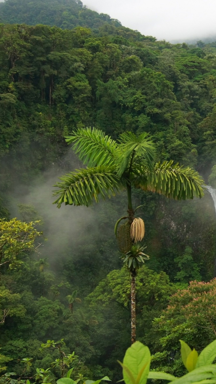 Person in Braunen Schuhen, Die Auf Braunem Holzscheit Vor Wasserfällen Steht. Wallpaper in 750x1334 Resolution