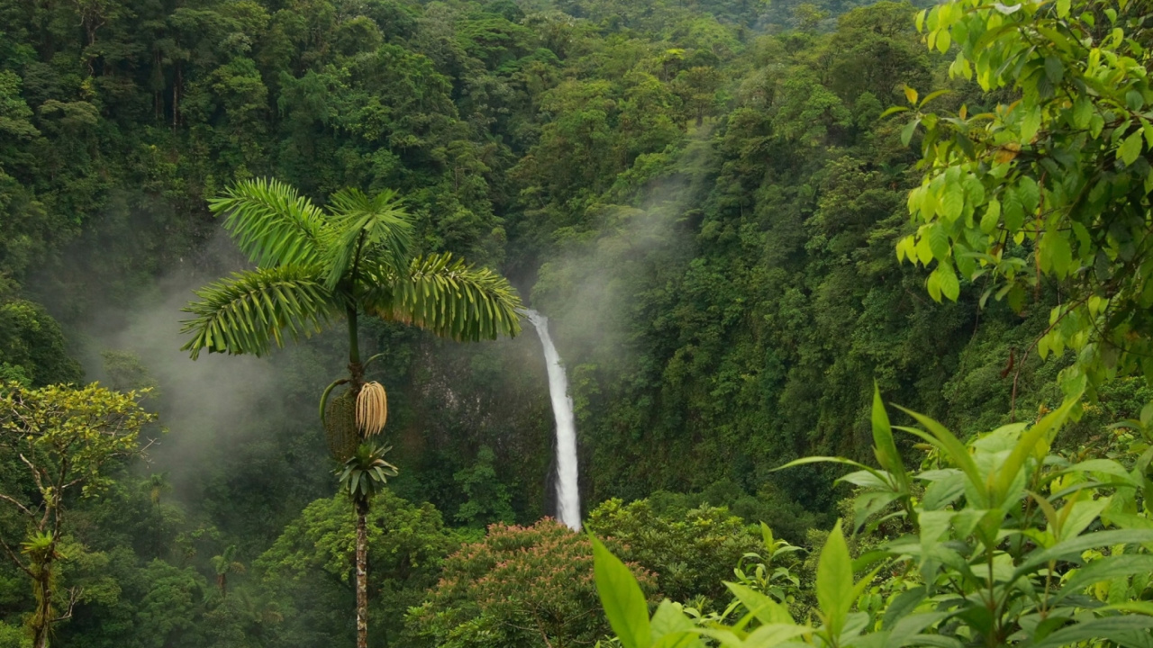 Person in Brown Shoes Standing on Brown Wooden Log in Front of Waterfalls. Wallpaper in 1280x720 Resolution