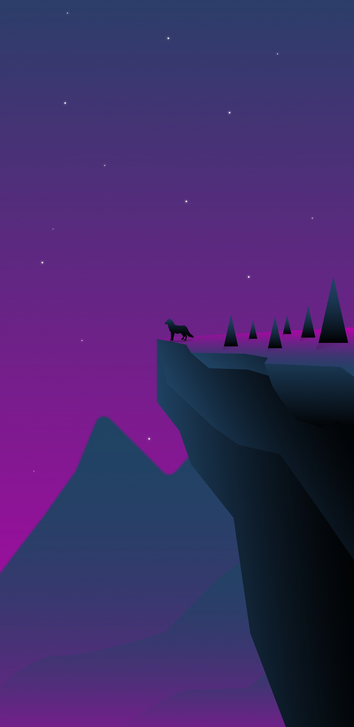 Nacht, Purpur, Atmosphäre, Veilchen, Magenta. Wallpaper in 1440x2960 Resolution