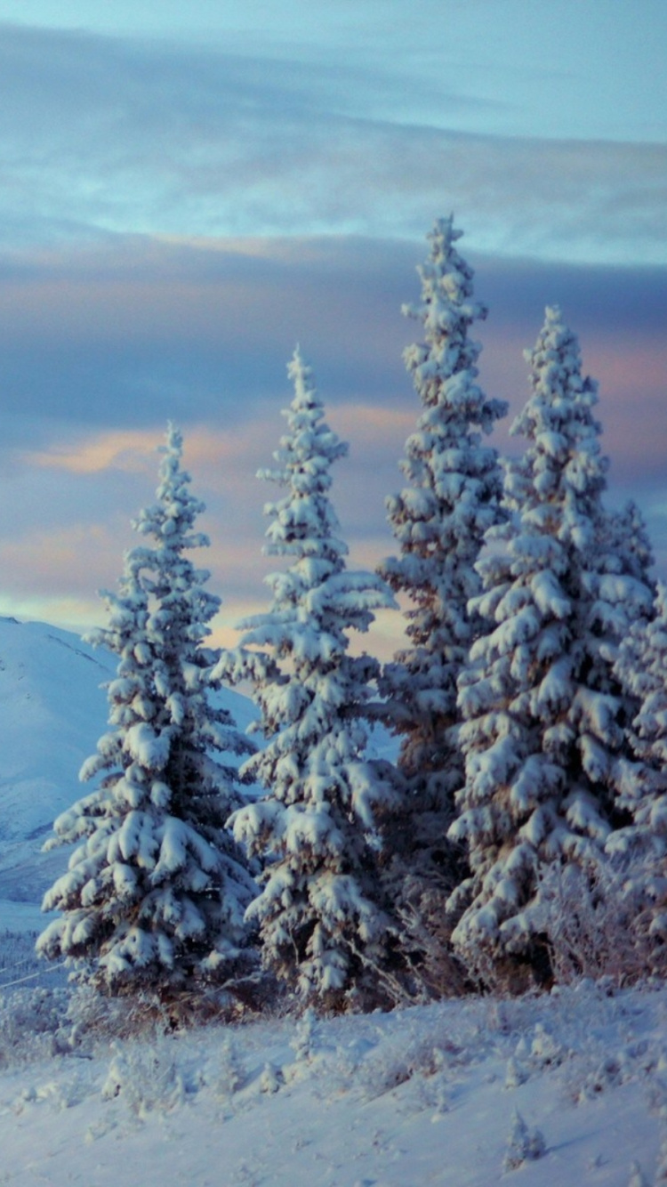 Snow Covered Mountain During Daytime. Wallpaper in 750x1334 Resolution