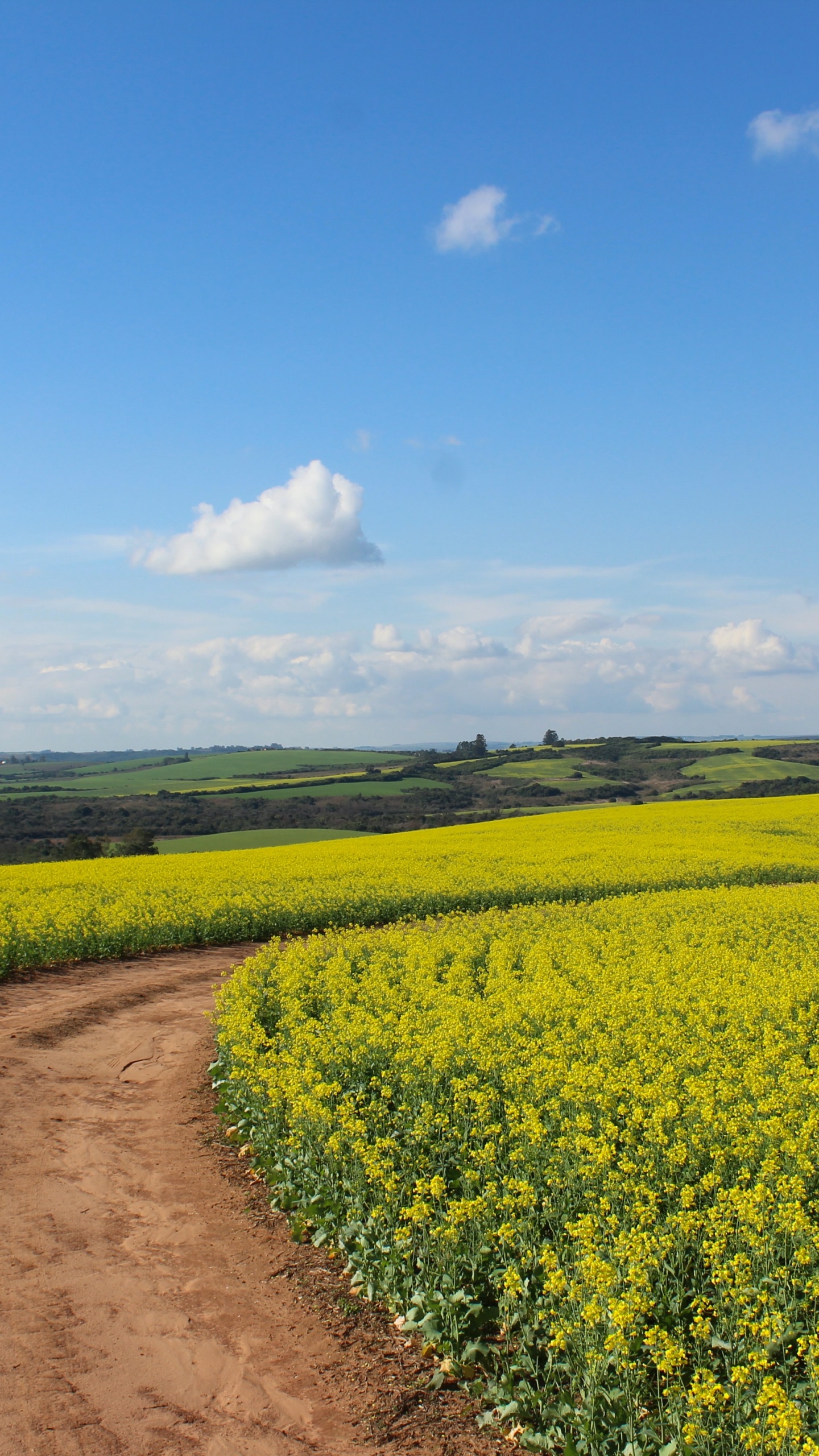 Cloud, Ökoregion, Naturlandschaft, Menschen in Der Natur, Landwirtschaft. Wallpaper in 1440x2560 Resolution