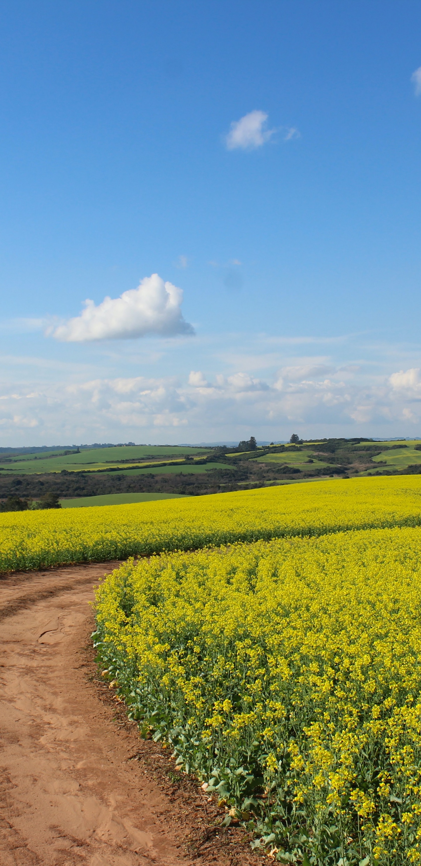 Cloud, Ökoregion, Naturlandschaft, Menschen in Der Natur, Landwirtschaft. Wallpaper in 1440x2960 Resolution