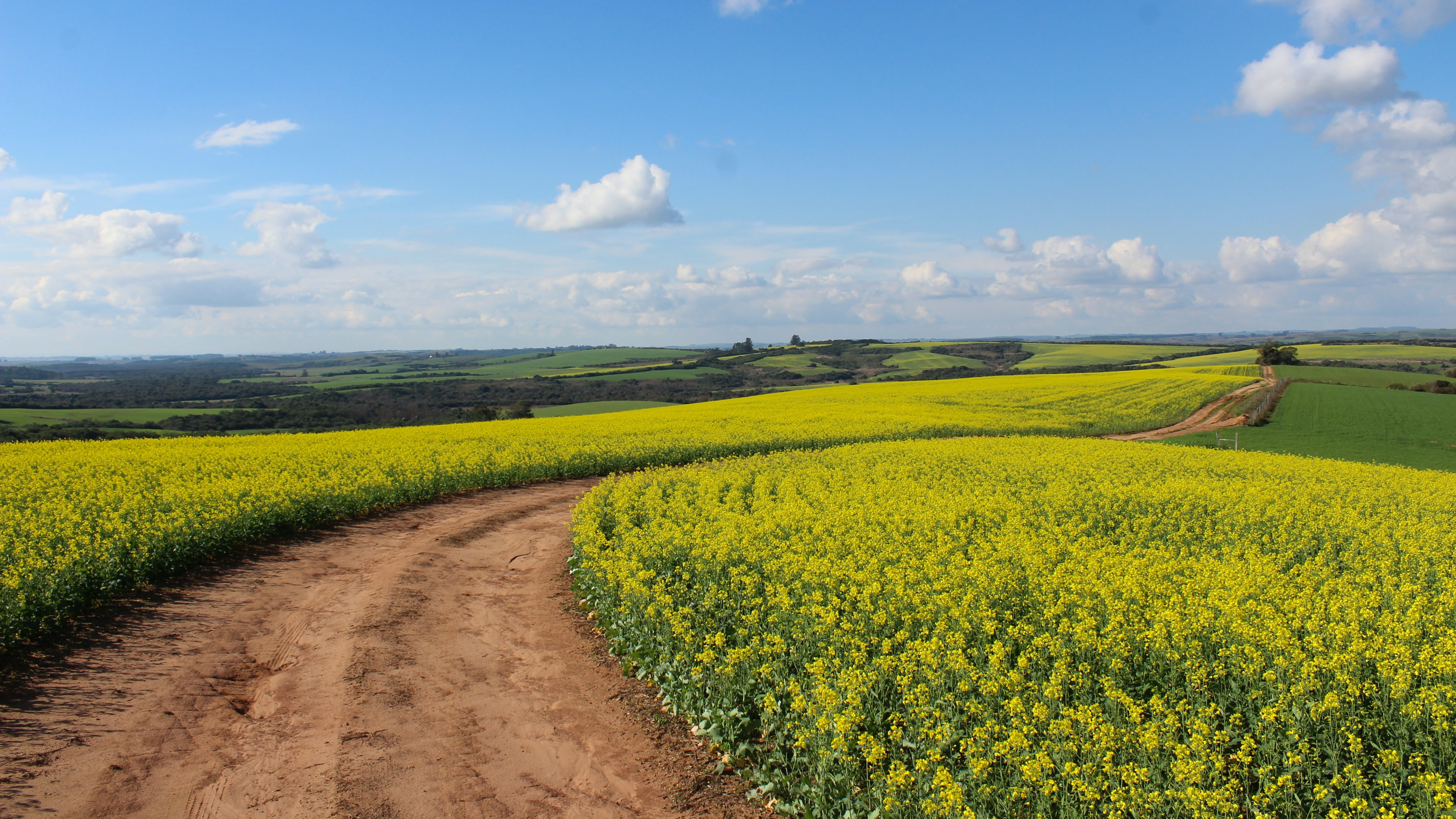 Cloud, Ökoregion, Naturlandschaft, Menschen in Der Natur, Landwirtschaft. Wallpaper in 3840x2160 Resolution
