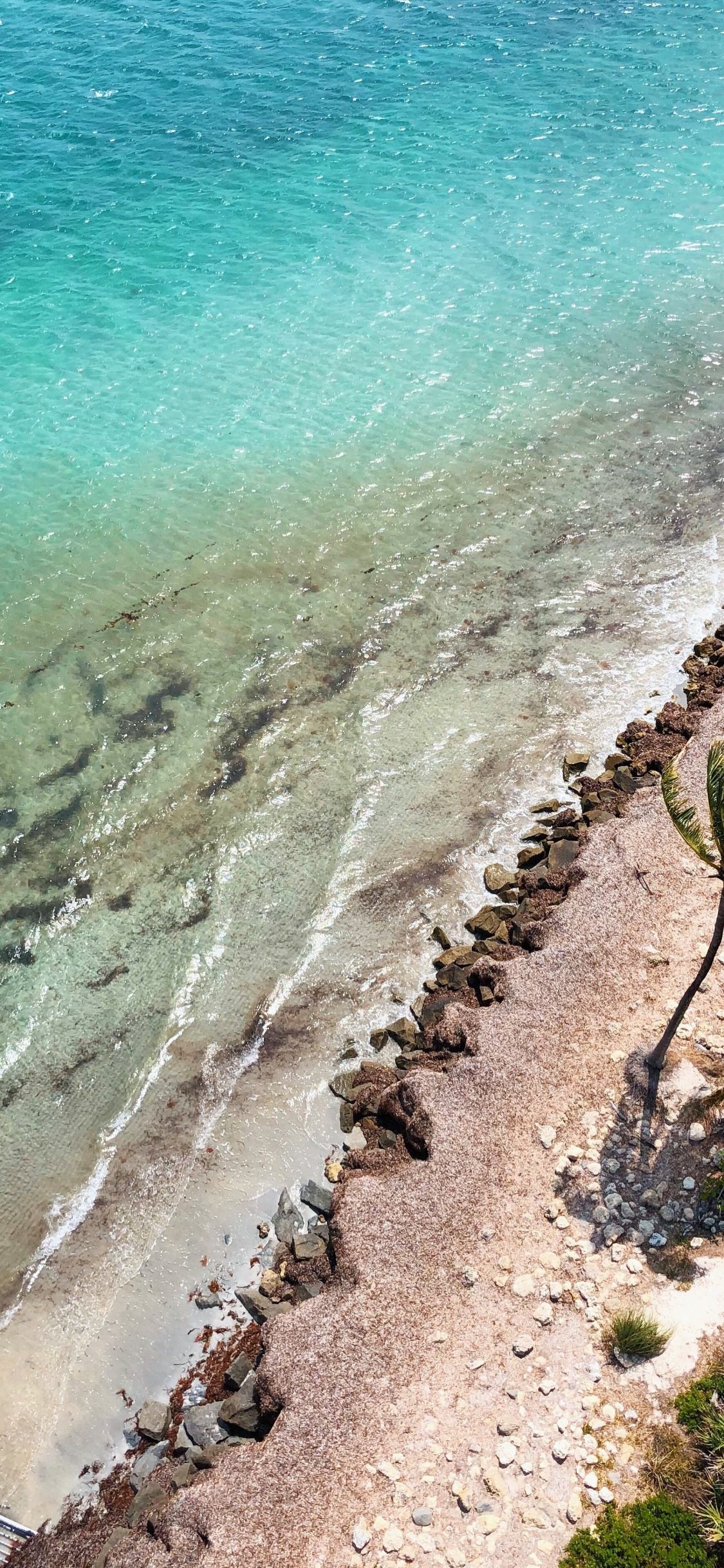 大海, 海岸, 度假, 岸边, 旅游业 壁纸 1125x2436 允许