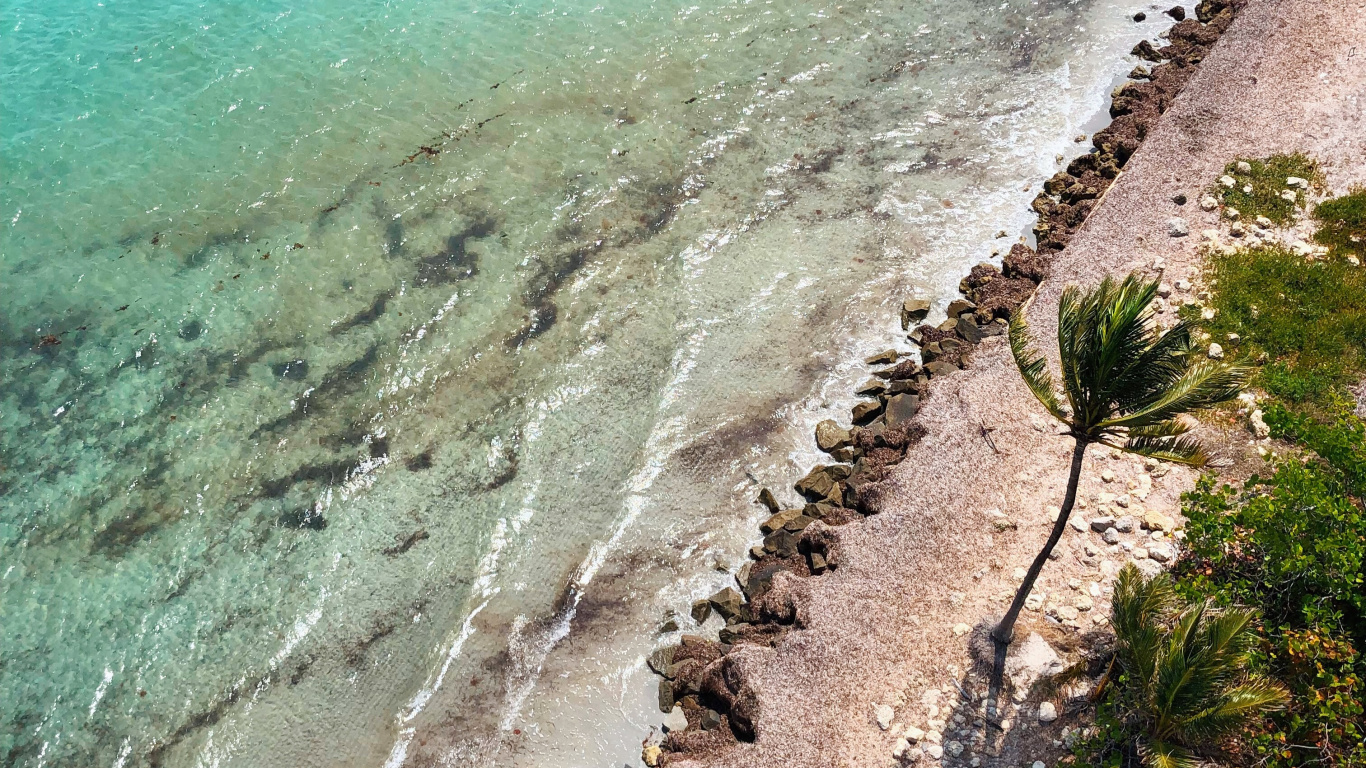 大海, 海岸, 度假, 岸边, 旅游业 壁纸 1366x768 允许