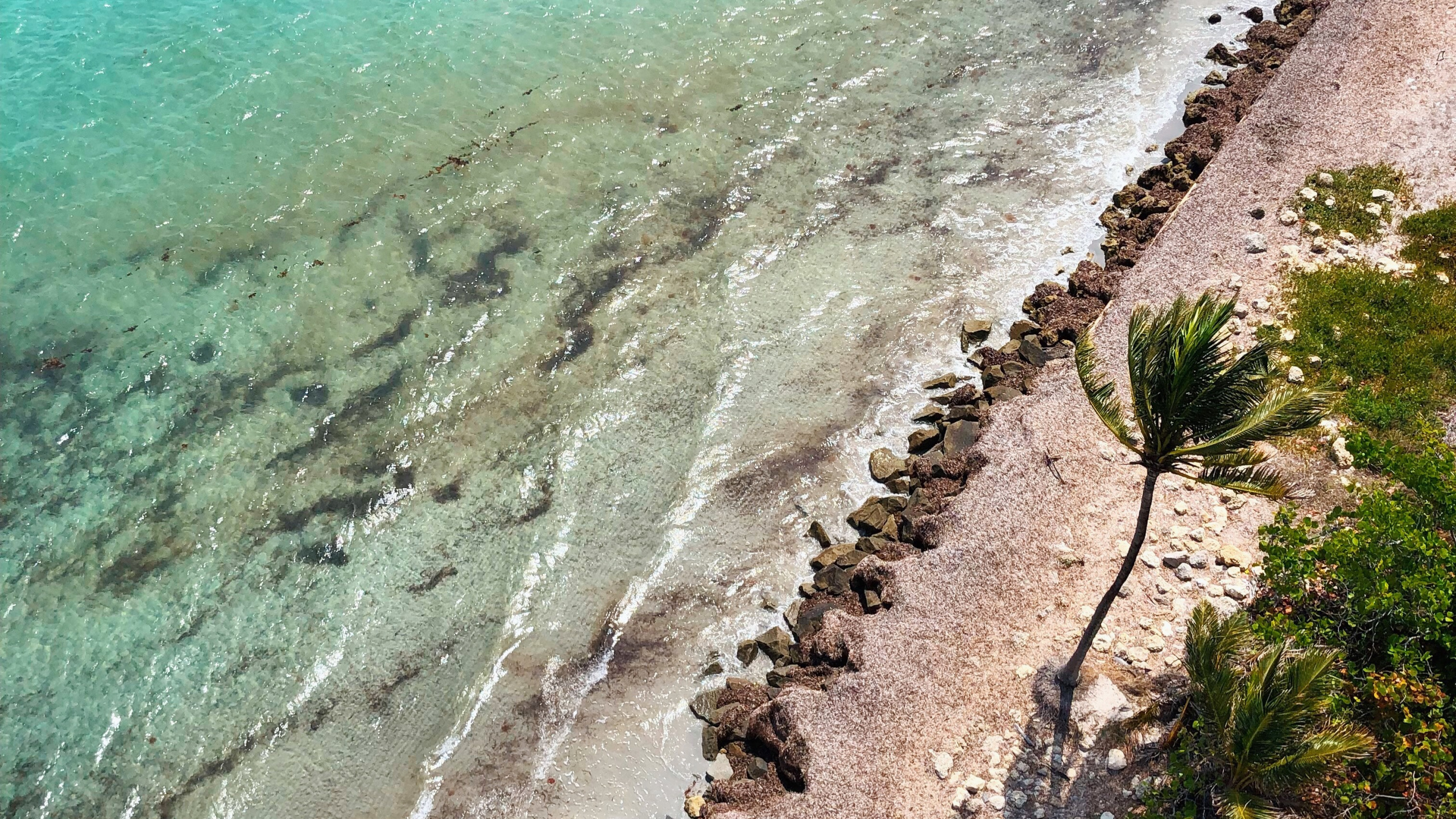 大海, 海岸, 度假, 岸边, 旅游业 壁纸 2560x1440 允许