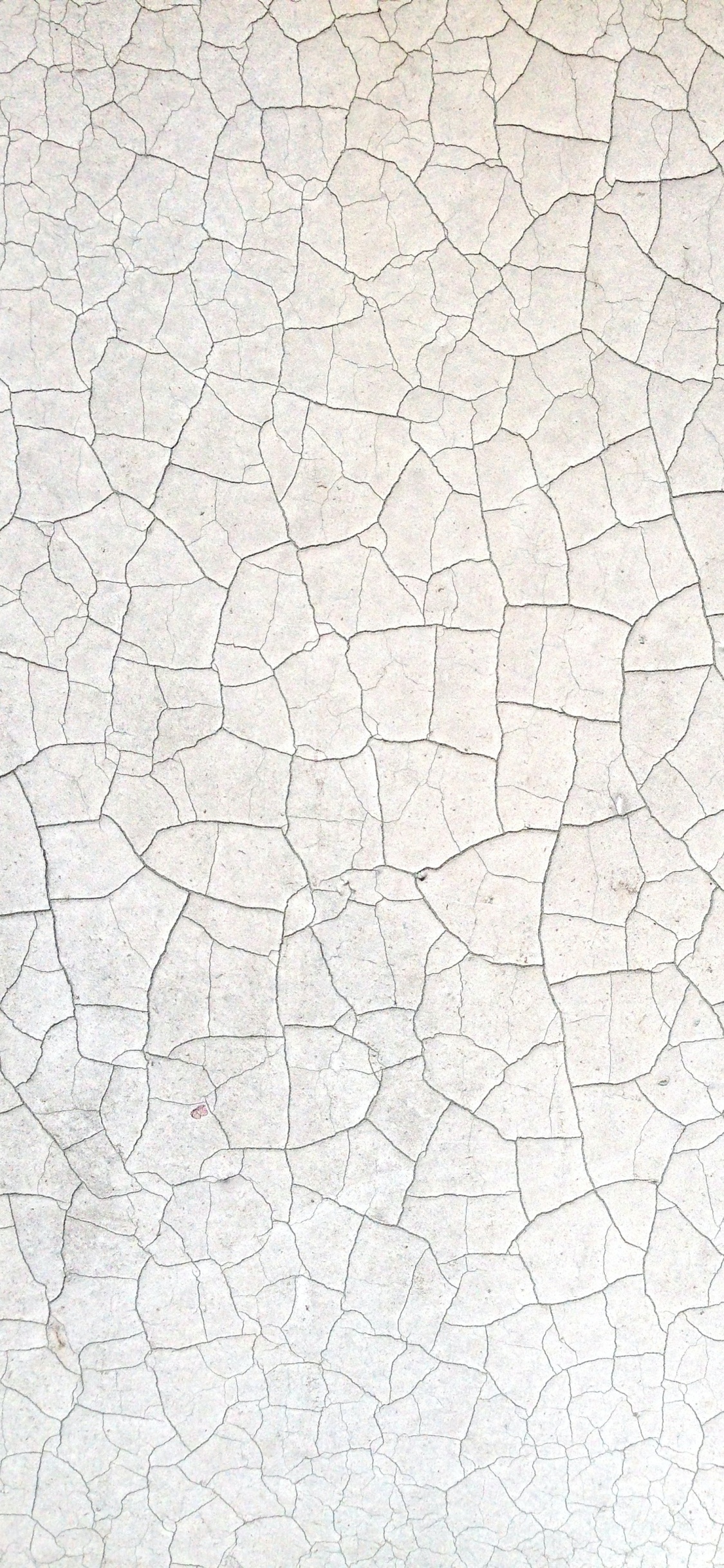 Marais Salants D'Aveiro, Gris, Étage, Art, Plancher. Wallpaper in 1125x2436 Resolution