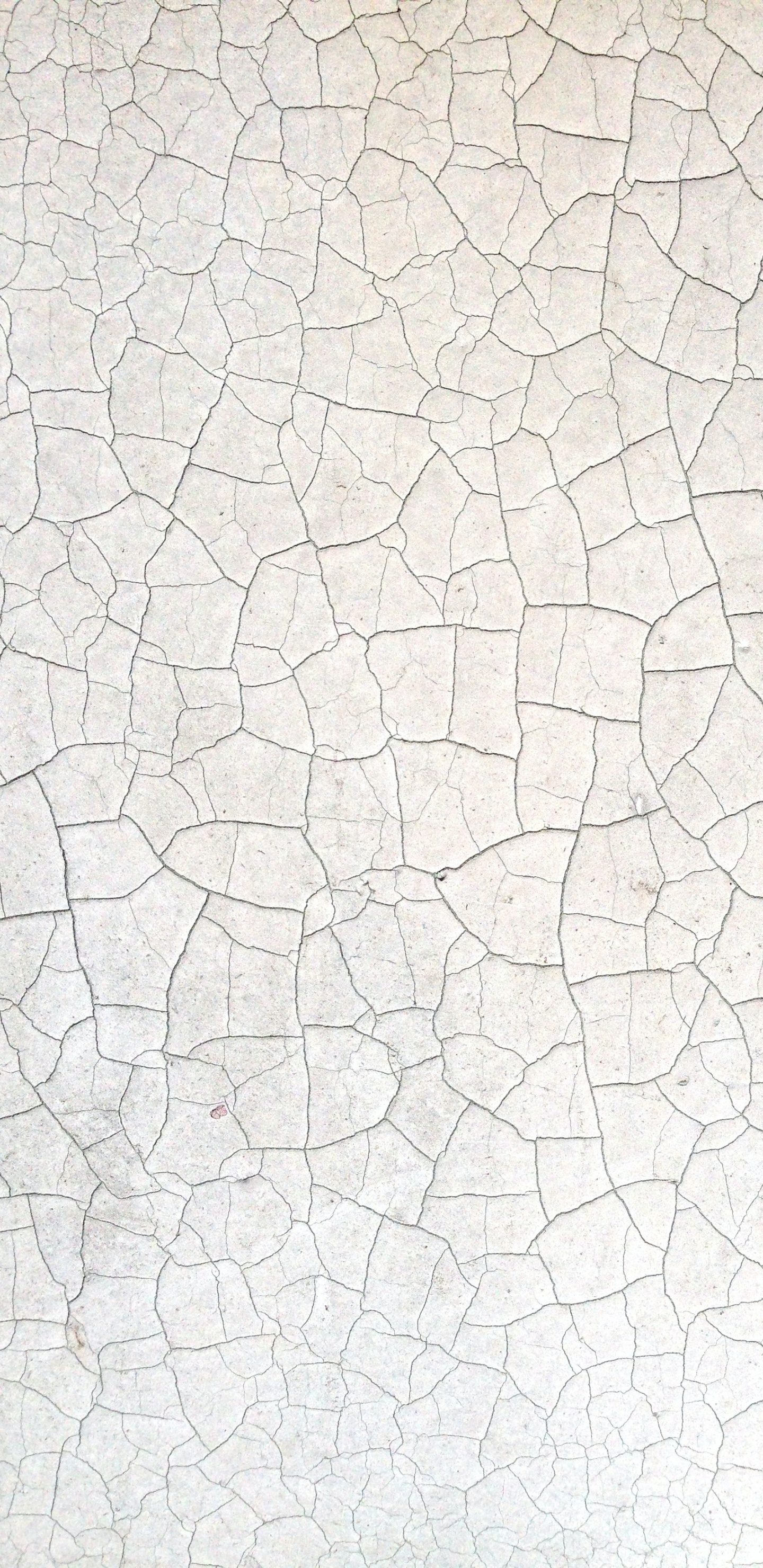 Salinas de Aveiro, Gris, Piso, Arte, la Superficie de la Carretera. Wallpaper in 1440x2960 Resolution