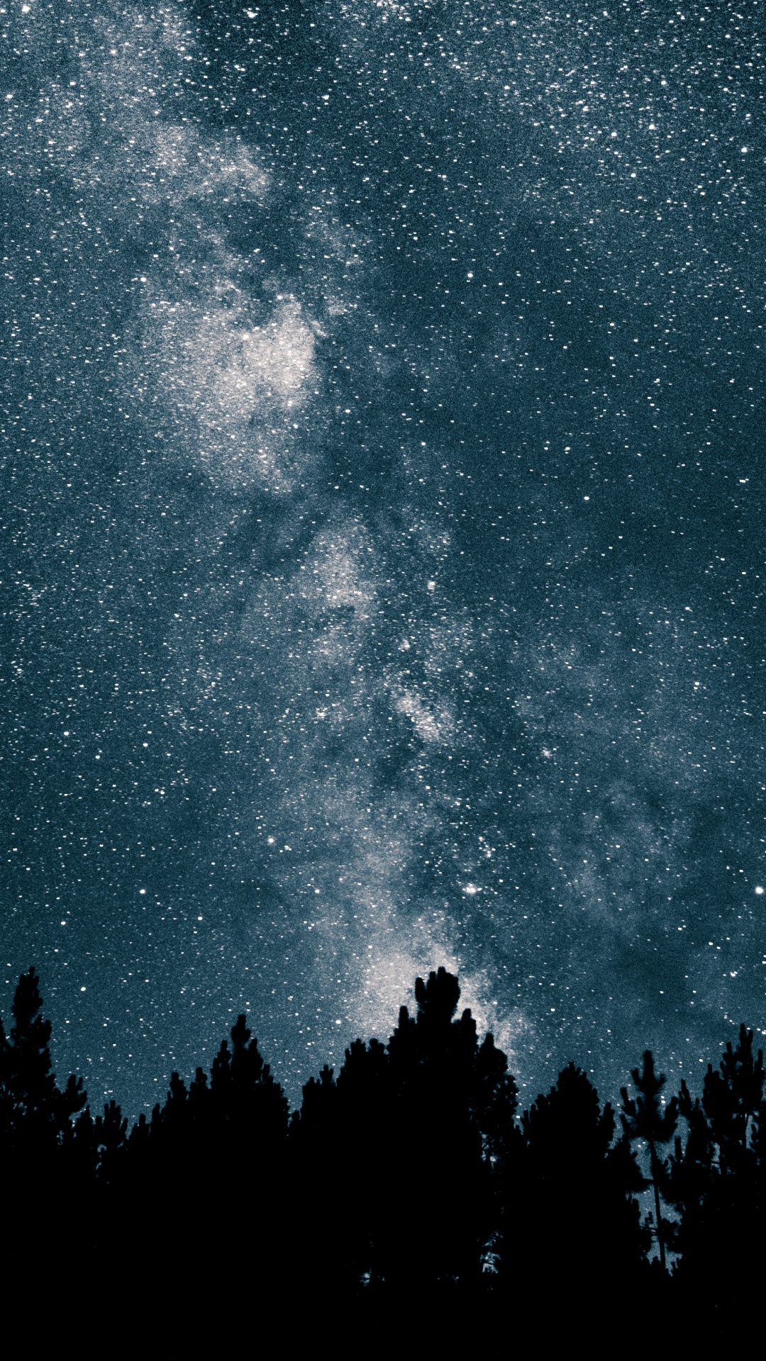 Silueta de Árboles Bajo el Cielo Azul. Wallpaper in 1080x1920 Resolution
