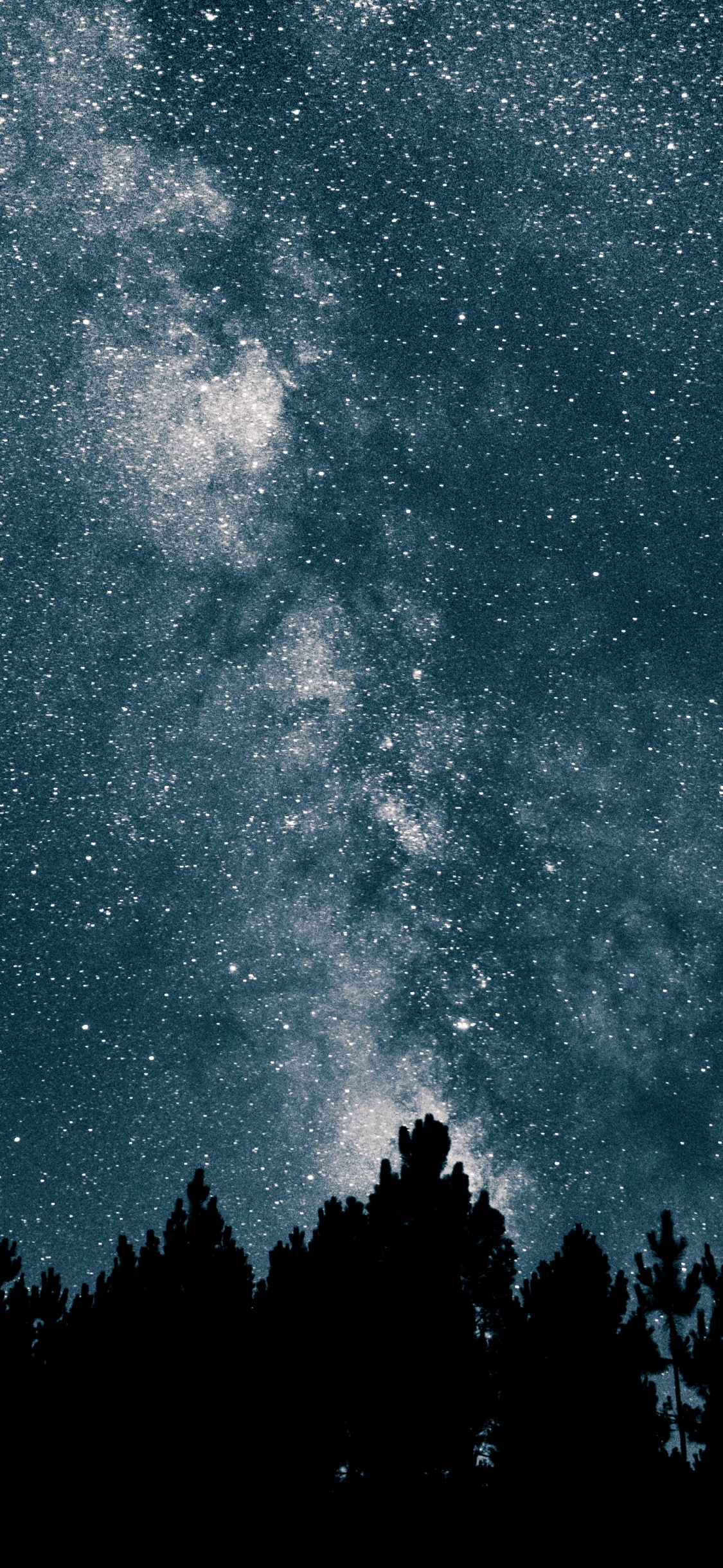 Silueta de Árboles Bajo el Cielo Azul. Wallpaper in 1125x2436 Resolution
