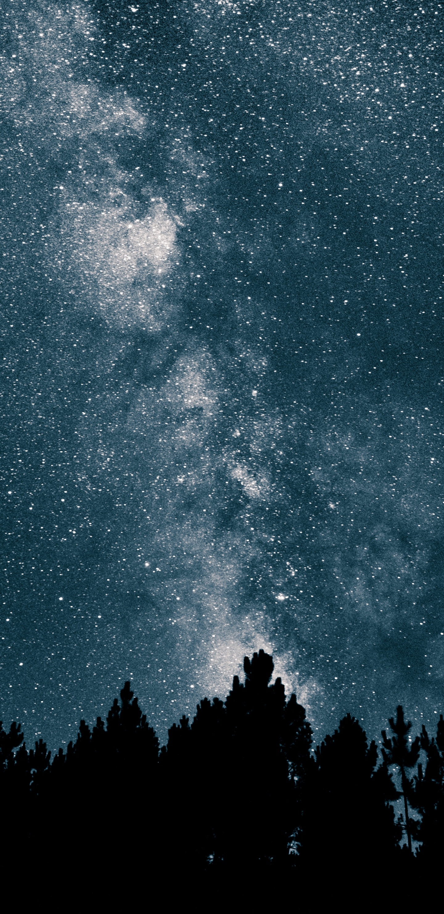 Silueta de Árboles Bajo el Cielo Azul. Wallpaper in 1440x2960 Resolution