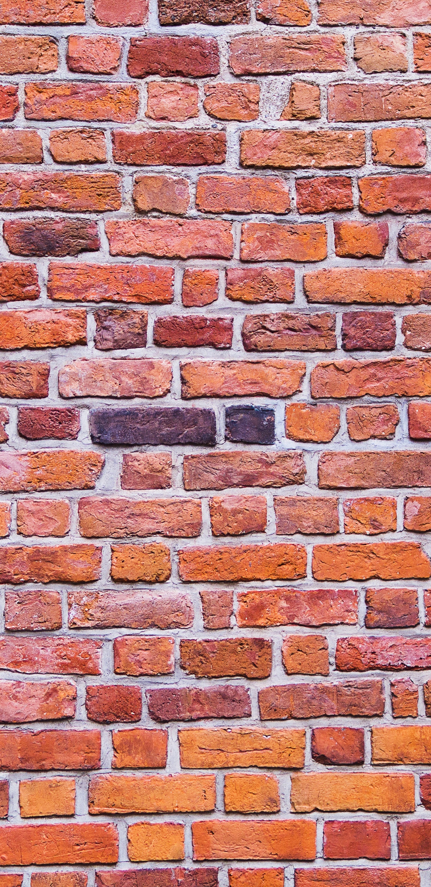 Pared de Ladrillo Marrón y Negro. Wallpaper in 1440x2960 Resolution