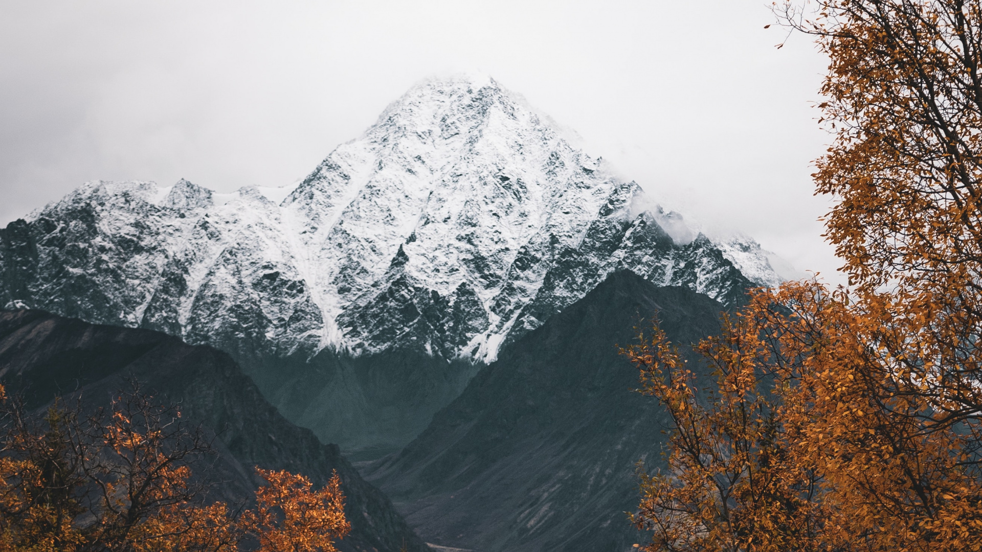 Alpen, Bergigen Landschaftsformen, Bergkette, Baum, Hochland. Wallpaper in 1920x1080 Resolution