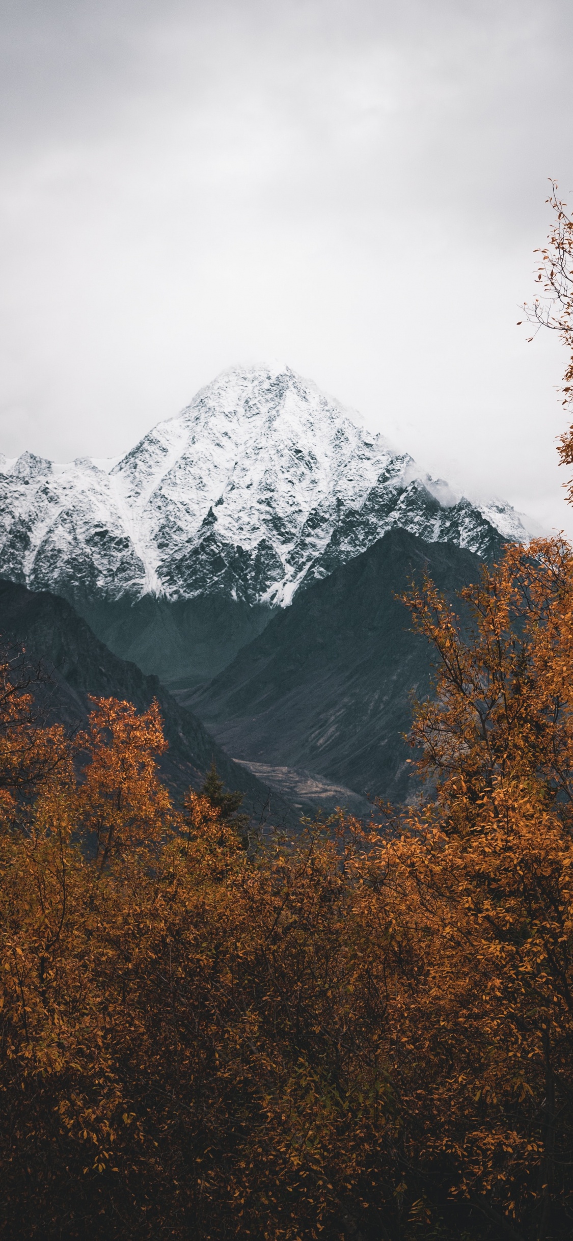Mountain, Alps, Mountainous Landforms, Mountain Range, Tree. Wallpaper in 1125x2436 Resolution