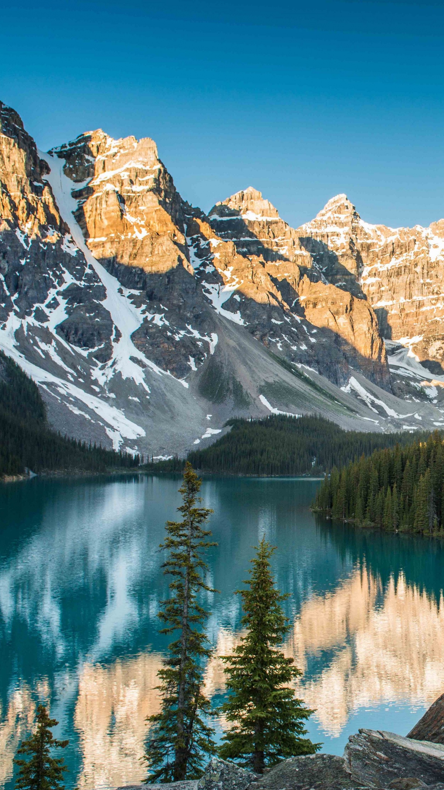 Arbres Verts Près du Lac et de la Montagne Couverte de Neige Pendant la Journée. Wallpaper in 1440x2560 Resolution