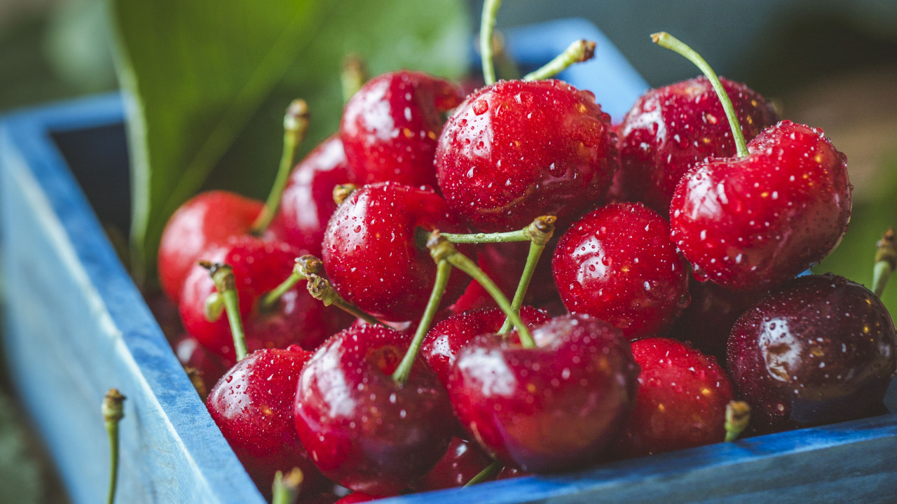 Cerises Rouges Dans Une Caisse en Bois Marron. Wallpaper in 1280x720 Resolution