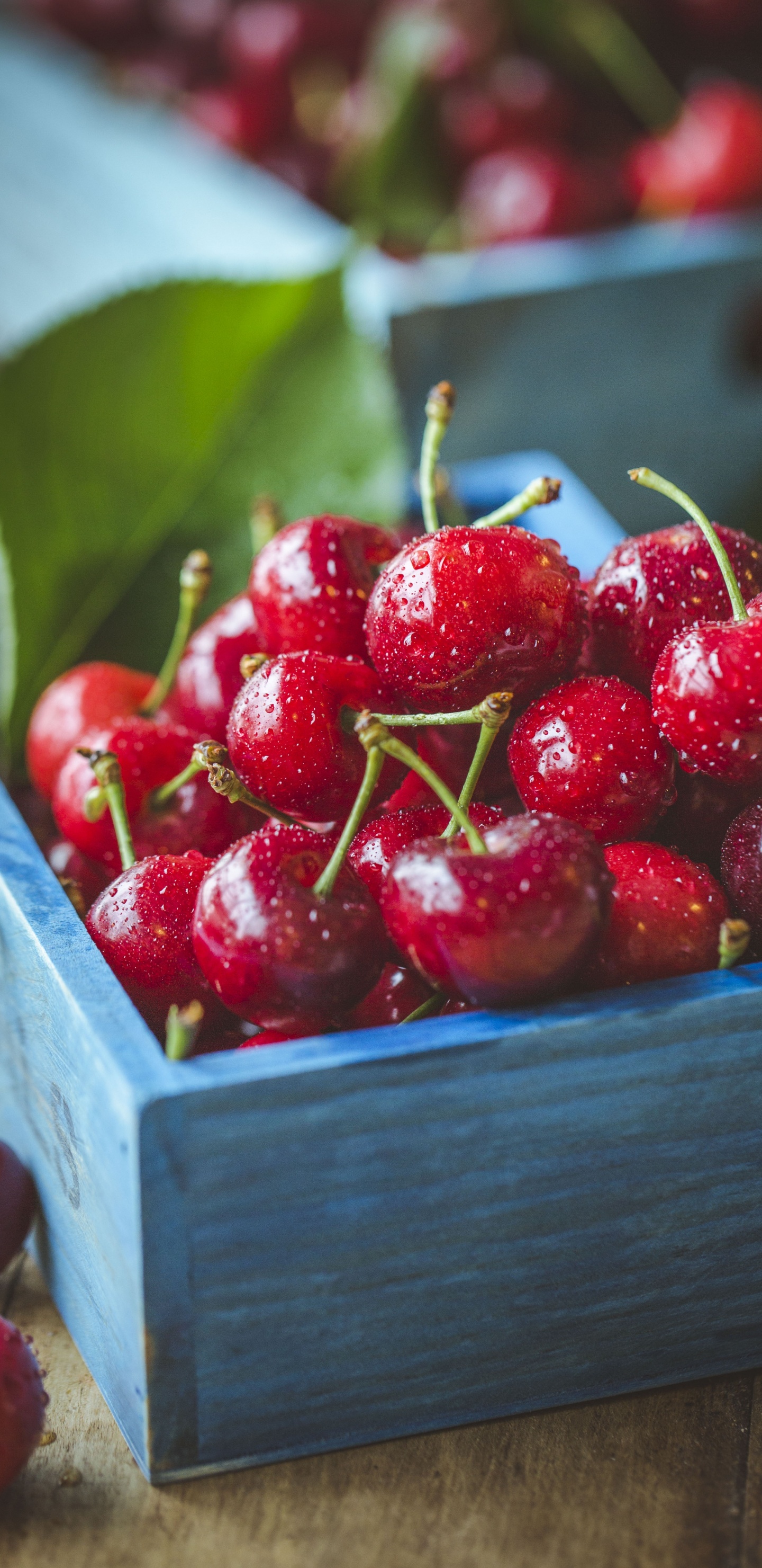 Cerises Rouges Dans Une Caisse en Bois Marron. Wallpaper in 1440x2960 Resolution