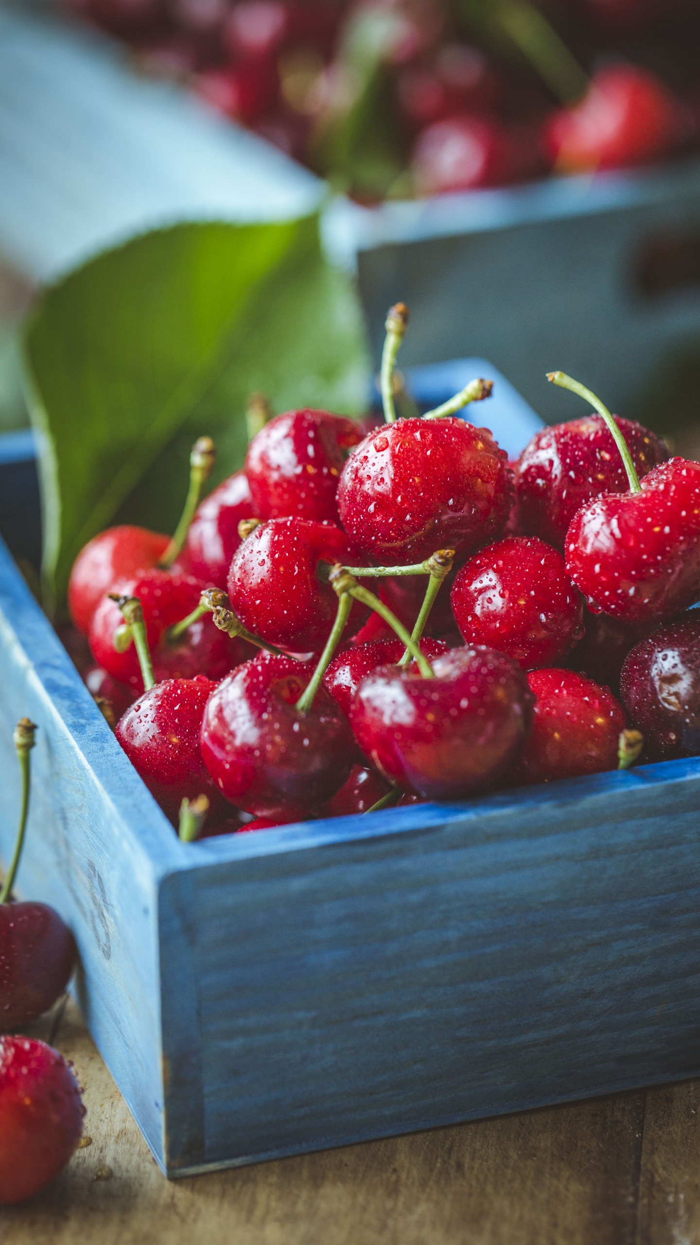 Red Cherries in Brown Wooden Crate. Wallpaper in 1440x2560 Resolution