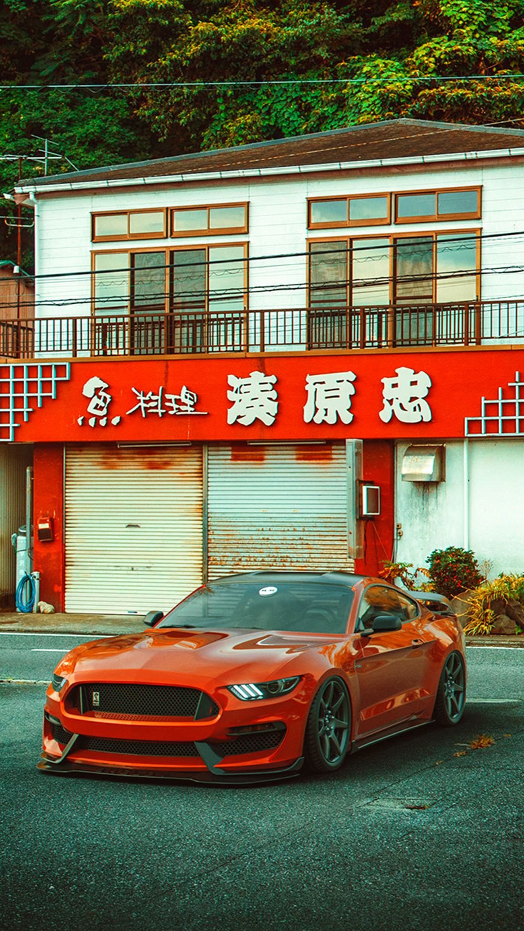 新宝马AG, 汽车改装, 轮胎, 格栅, 汽车轮胎 壁纸 1080x1920 允许