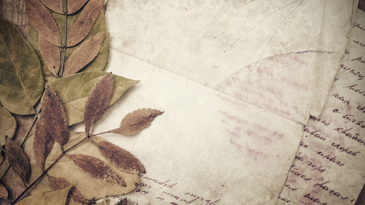 Hojas Marrones Sobre Papel Blanco. Wallpaper in 1280x720 Resolution