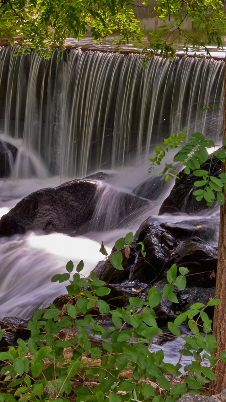 Plantas Verdes Junto a Cascadas Durante el Día. Wallpaper in 720x1280 Resolution