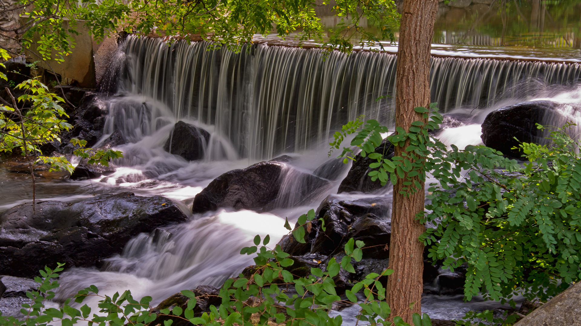 Green Plants Beside Waterfalls During Daytime. Wallpaper in 1920x1080 Resolution