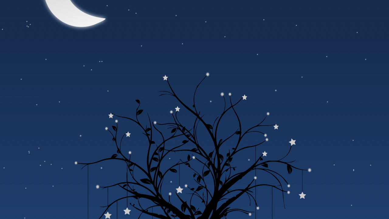 Arbre nu Sous Ciel Bleu Pendant la Nuit. Wallpaper in 1280x720 Resolution