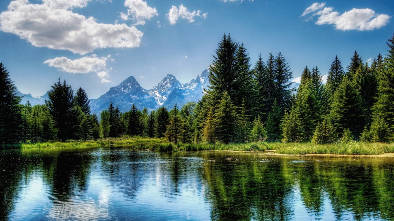 Grüne Bäume in Der Nähe Des Sees Unter Blauem Himmel Tagsüber. Wallpaper in 1366x768 Resolution