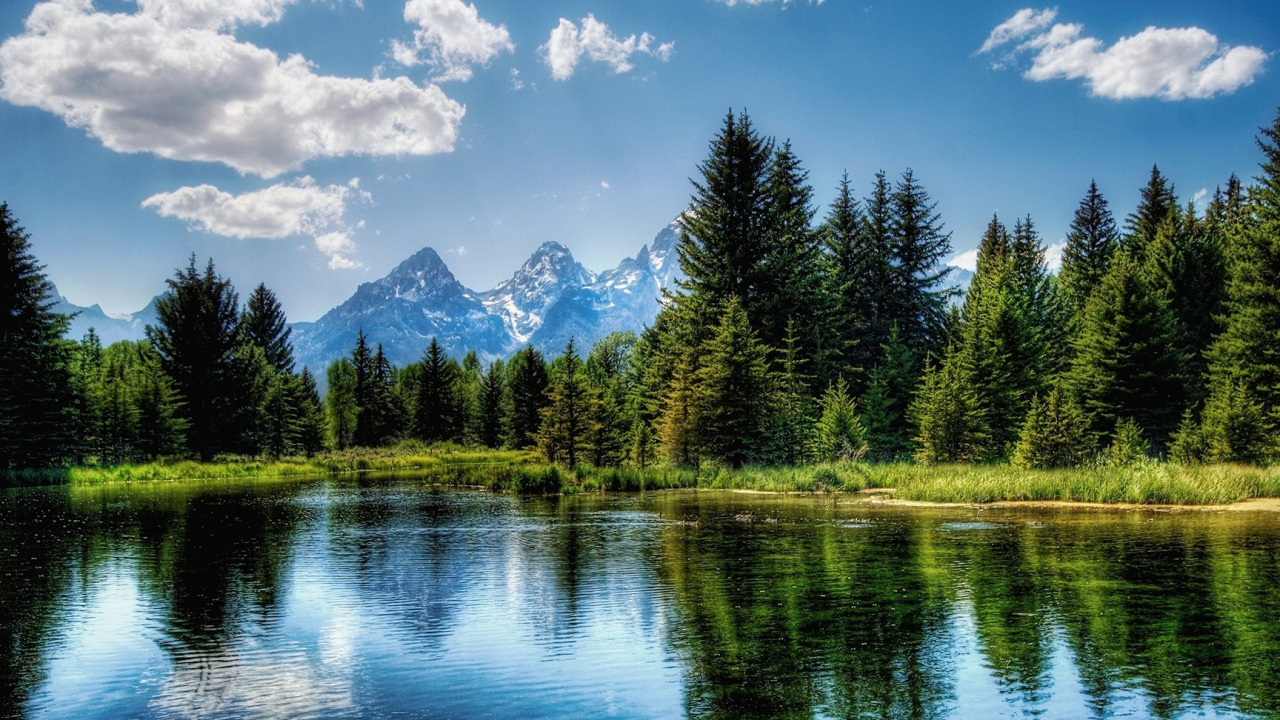 Green Trees Near Lake Under Blue Sky During Daytime. Wallpaper in 1280x720 Resolution