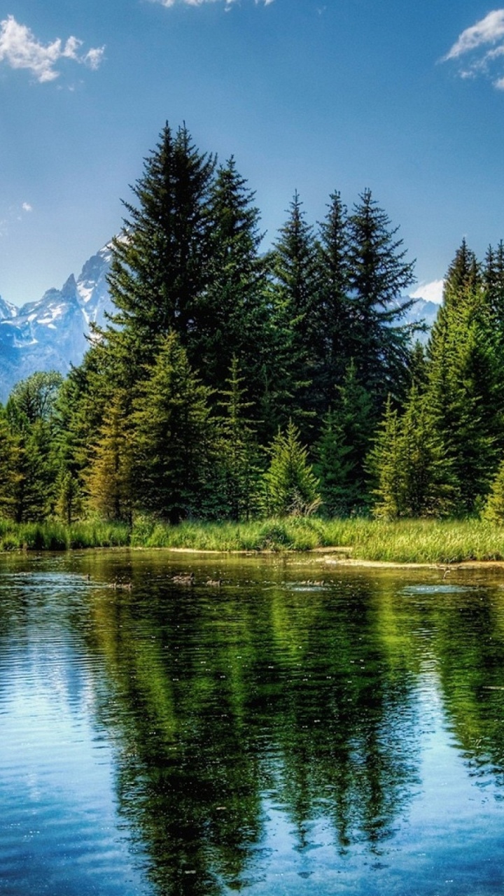 Green Trees Near Lake Under Blue Sky During Daytime. Wallpaper in 720x1280 Resolution