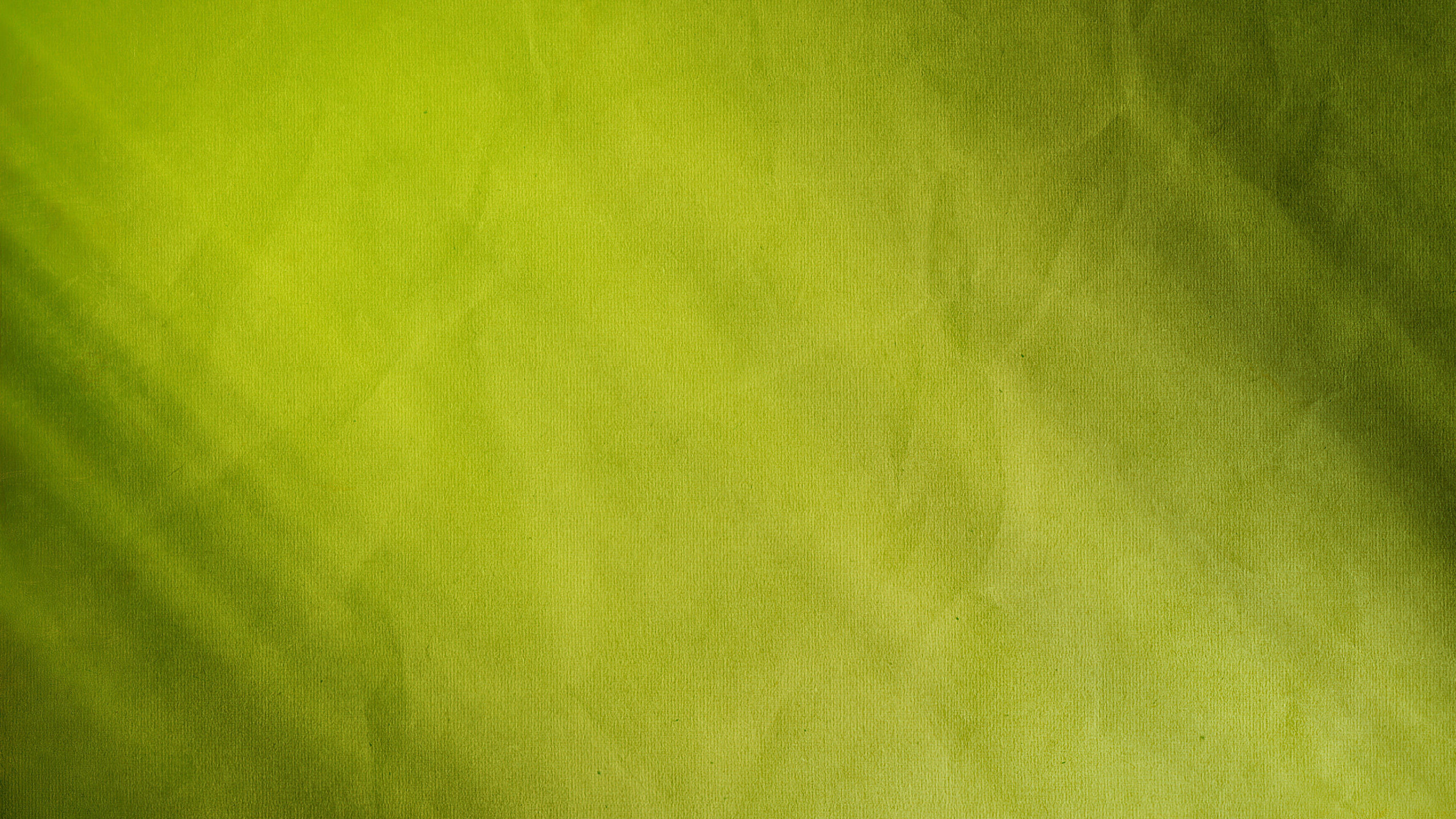 Textil Verde Con Pelo Negro. Wallpaper in 2560x1440 Resolution
