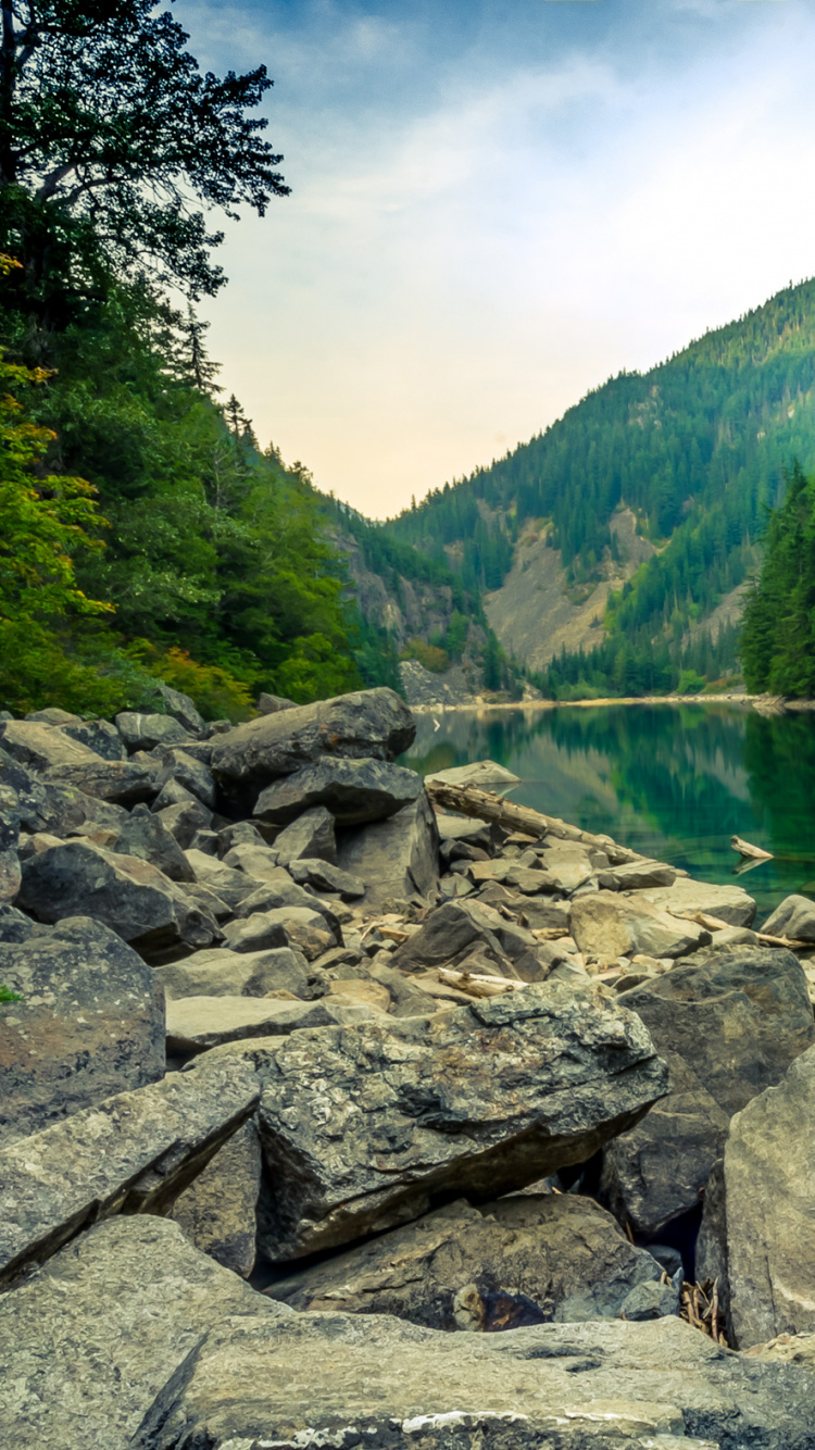 Green Trees Near Lake Under White Clouds and Blue Sky During Daytime. Wallpaper in 750x1334 Resolution